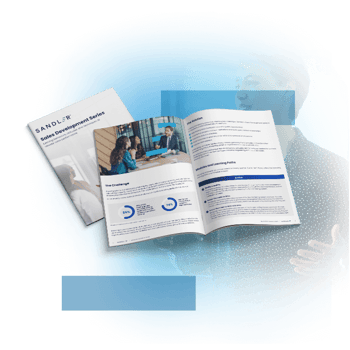 Email Sandler Network RevUpYourSale5 Asset 1